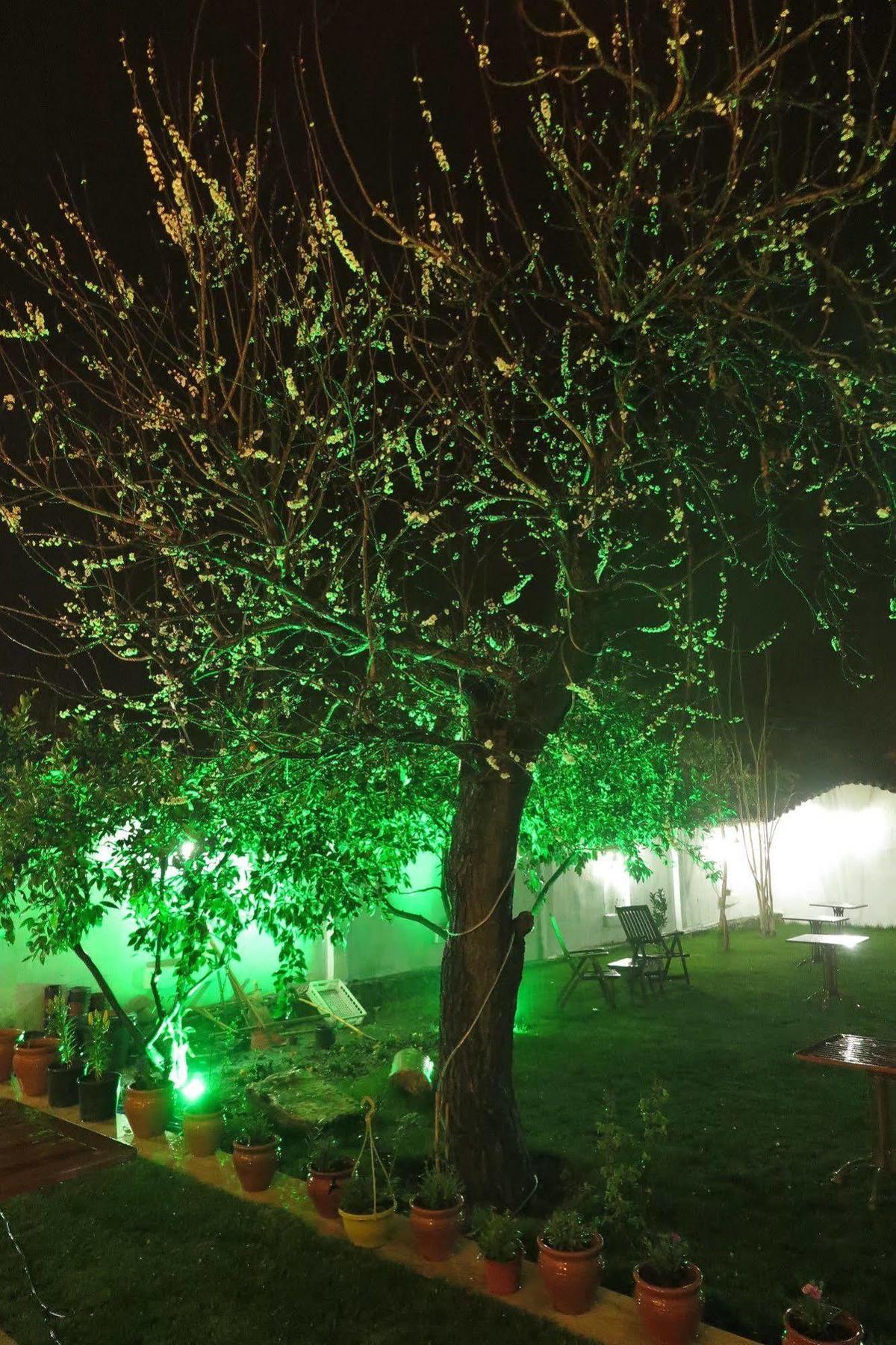 Ephesus Paradise Ξενοδοχείο Σελτσούκ Εξωτερικό φωτογραφία